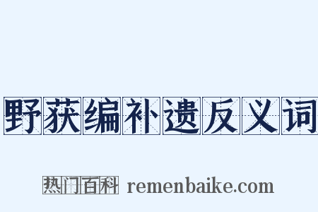 野获编补遗反义词是什么意思的图片
